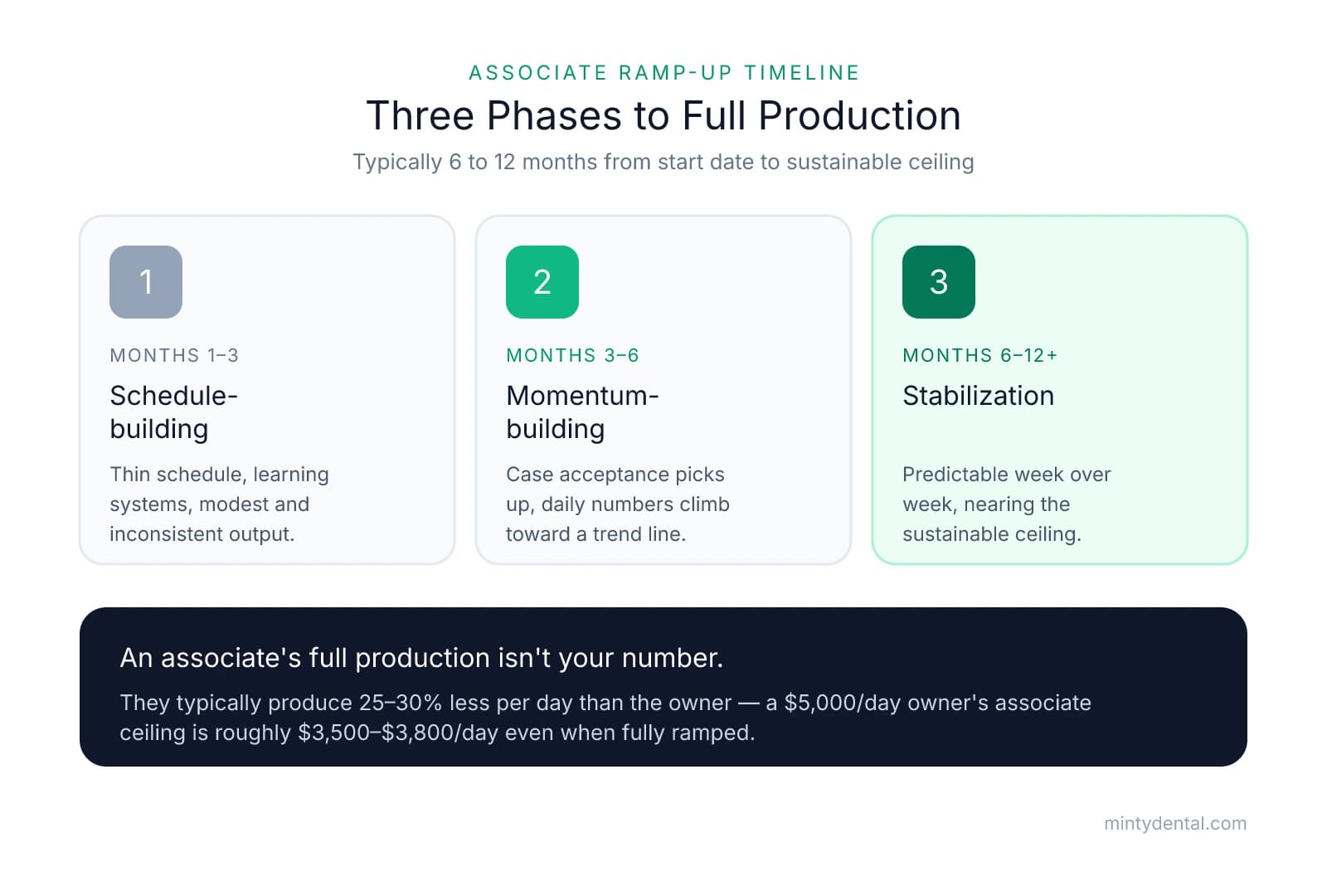 Timeline showing three ramp-up phases: schedule-building (months 1-3), momentum-building (months 3-6), and stabilization (months 6-12+), with a takeaway that associates produce 25-30% less per day than owners.